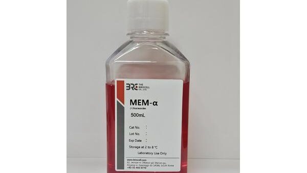 MEM-A-정면_600x388.jpg