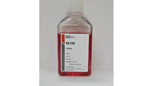 m199정면_600x388.jpg