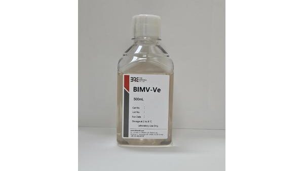 BIMV-Ve정면_600x388.jpg