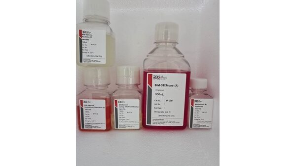 STEM_ONE_600x388.jpg