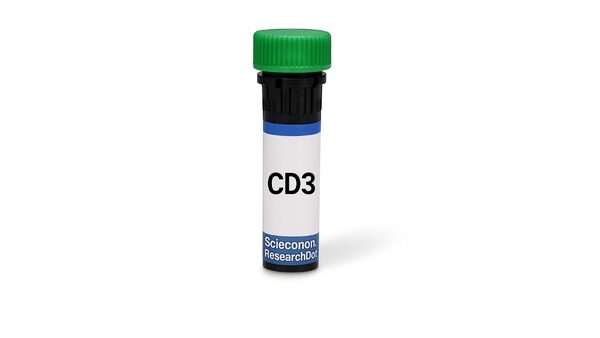 CD3__600x388.jpg
